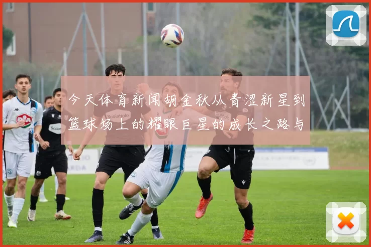 今天体育新闻胡金秋从青涩新星到篮球场上的耀眼巨星的成长之路与未来展望