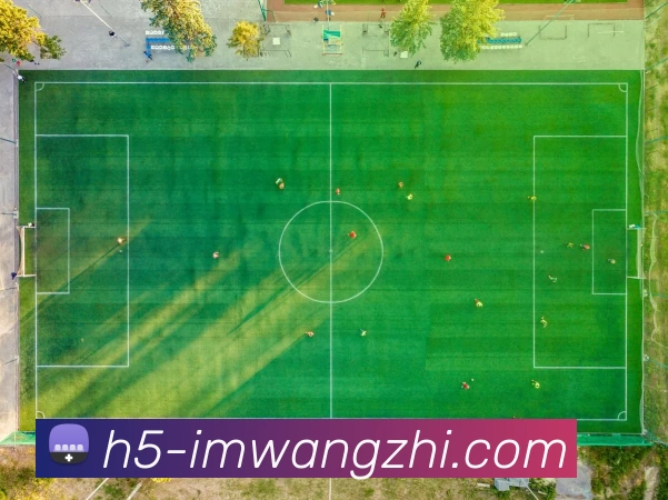 IM网址全站App